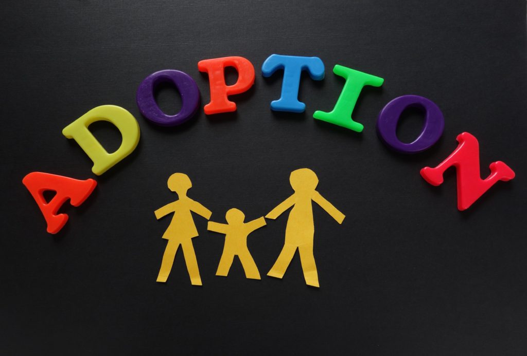How to Find a Professional Adoption Agency Our Guide National